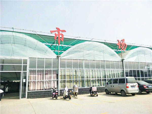 智能連棟溫室